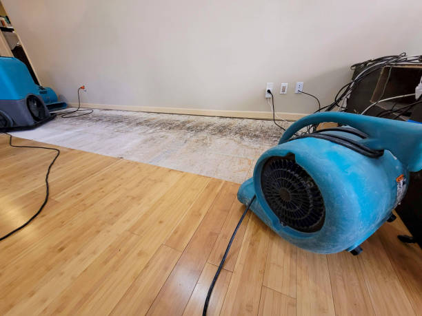 Professional Structural Drying technician working in Durand, WI